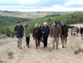 La Comunidad repobla el monte Los Cerros en Alcalá de Henares