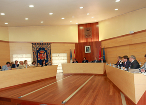 Pleno de Las Rozas