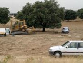 Ecologistas solicitará la paralización de las obras de la M-501