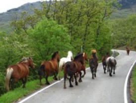 Un rally y la Vuelta ponen a prueba la Sierra