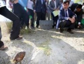 Suelta de 25 ejemplares de galápagos leprosos en una cantera rehabilitada de Navas del Rey