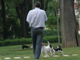 Más de 700 perros participarán en la Exposición Nacional Canina de la Casa de Campo