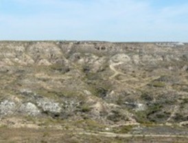 Yacimiento paleontológico de dos millones de años