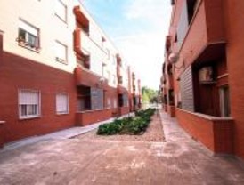 La norma del padrón de Torrejón funciona desde 2007 'y no ha habido problemas'