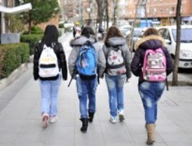 La Comunidad respalda la opción de segregar por sexo en los centros educativos