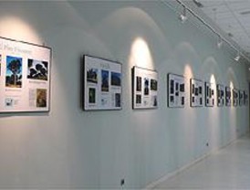 La muestra fotográfica itinerante 'Conoce tus árboles' llega a Fuencarral-El Pardo