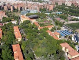 Oportunidades de colaboración en medicina regenerativa