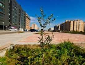 Plantación vecinal en el PAU de Vallecas