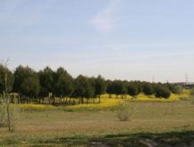 Ruta por el Parque de Polvoranca