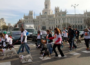 La 'Sanperrestre' celebra su cuarta edición el 30 de diciembre