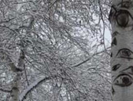 Impulsar la participación en Horizonte 2020