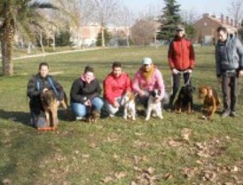 Nace en Getafe la asociación 'Amigos del can'