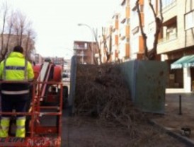 Coslada inicia la poda en la calle Fleming