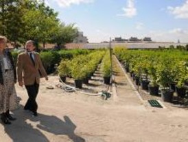 La Escuela Taller del Retiro forma a cuarenta jardineros y viveristas