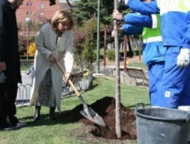El Ayuntamiento asegura haber plantado casi un millón de árboles desde 2007