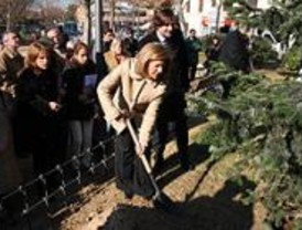 Más de 2.100 árboles se plantarán en el distrito Moncloa-Aravaca