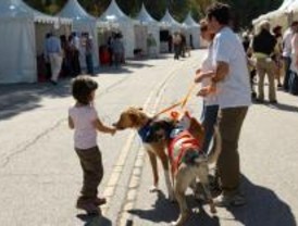 El Retiro acoge el IV Salón para la adopción de animales