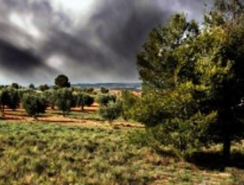 Reconocimientos fotográficos de la biodiversidad en la Semana Félix