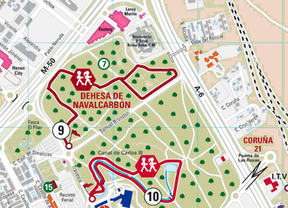 Comienzan las tareas para repoblar las hectáreas afectadas por un incendio en la Dehesa de Navalcarbón