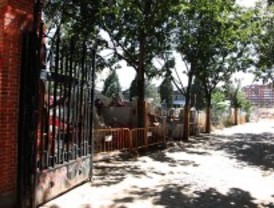 Tala de árboles en Madrid Río