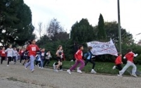 Un informe municipal desautoriza el Cross de la Elipa