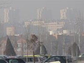 Repoblaciones y transporte público para luchar contra el cambio climático