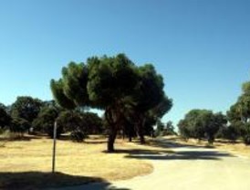 IU denuncia adjudicaciones a dedo en los Veranos de la Villa