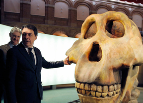 La cuna de la Humanidad, en el Museo Arqueológico Regional