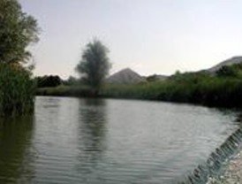 Ecologistas repobla una zona del río Henares en San Fernando