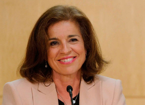 Ayuntamiento y Delegación estudiarán las manifestaciones "caso por caso"