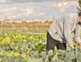 El primer polígono agroecológico de Madrid, en Rivas