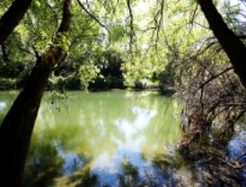 Recuperación de la ribera del río Henares