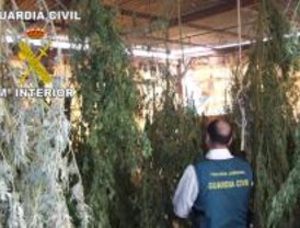 Cuatro heridos a escopetazos por intentar robar marihuana en Morata de Tajuña