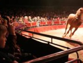 El circo, lugar de integración