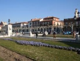 Concurso de árboles anticontaminación en Alcalá