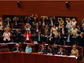 Los socialistas quieren una reforma del Estatuto de Autonomía para incluir derechos sociales