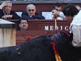 Qué cruz: cuando hay toros... no hay toreros