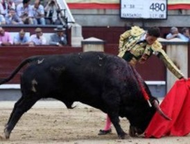Una asociación presenta alegaciones contra los toros como BIC