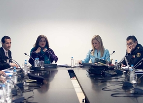 La delincuencia se redujo en la capital un 2,9% en 2014