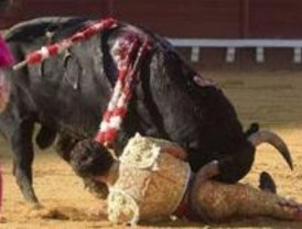 José Tomás, operado de dos cornadas de pronóstico 'grave'
