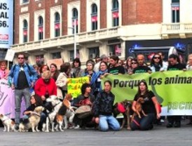 Los animalistas, 'engañados' con la ley de protección