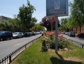 Flores para sensibilizar sobre la esclerosis múltiple en Alcorcón