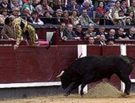 Controles antidoping para los Toros