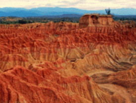 'Un paraíso en el desierto': ganadora del 6º Concurso de Fotografía mi+d