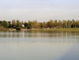 Aluvión de actividades por el Día del Medio Ambiente