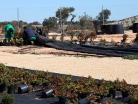 Un vivero de jóvenes de provecho