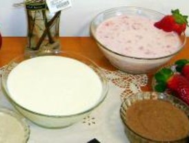 Charla sobre los beneficios del yogurt en Parla