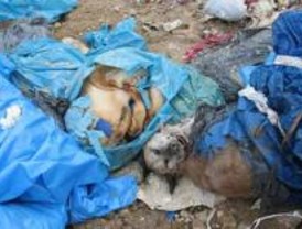 El Refugio critica a la Comunidad por el sacrificio de animales domésticos