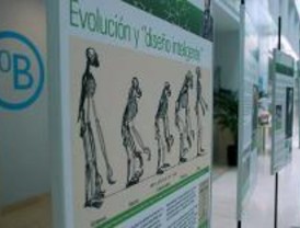 Darwin, 200 años después