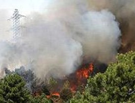 El Seprona investiga si una negligencia originó el incendio de Collado Mediano